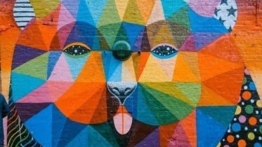 pexels-toa-heftiba-şinca-1194420 (1)