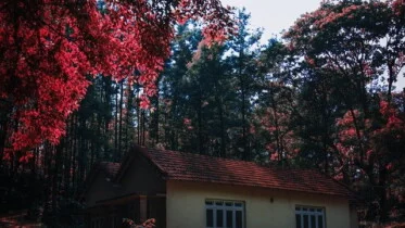 pexels-hey-karan-1694663-1