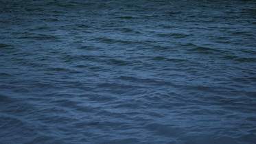 jordan-scott-1WflL6VWNh0-unsplash